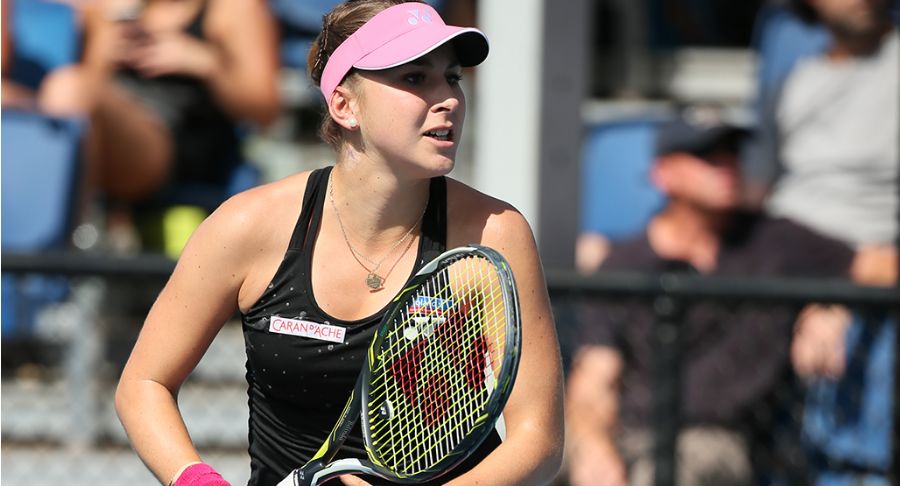 灰熊的战术 灰熊的战术